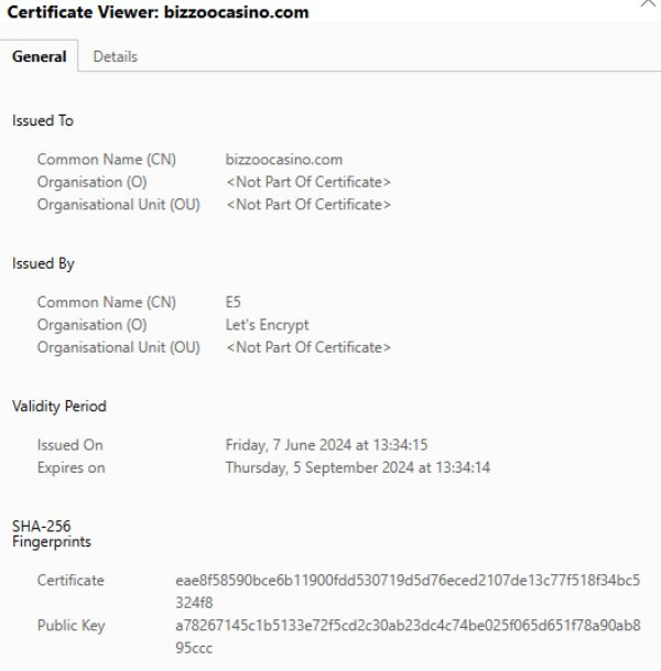Bizzo Casino SSL-Verschlüsselung