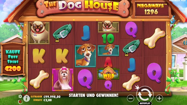 The Dog House Megaways