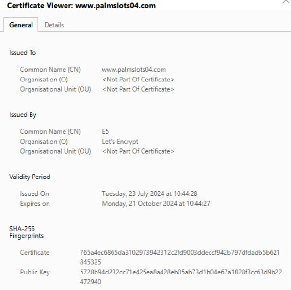 PalmSlots SSL-Verschlüsselung