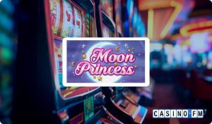 Moon Princess Slot