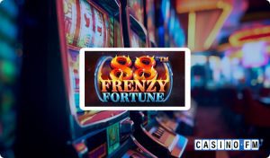 88 Frenzy Fortune